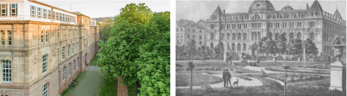 1764125467174617.png image.png